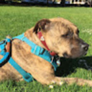 Meet your Posher, Gabriella